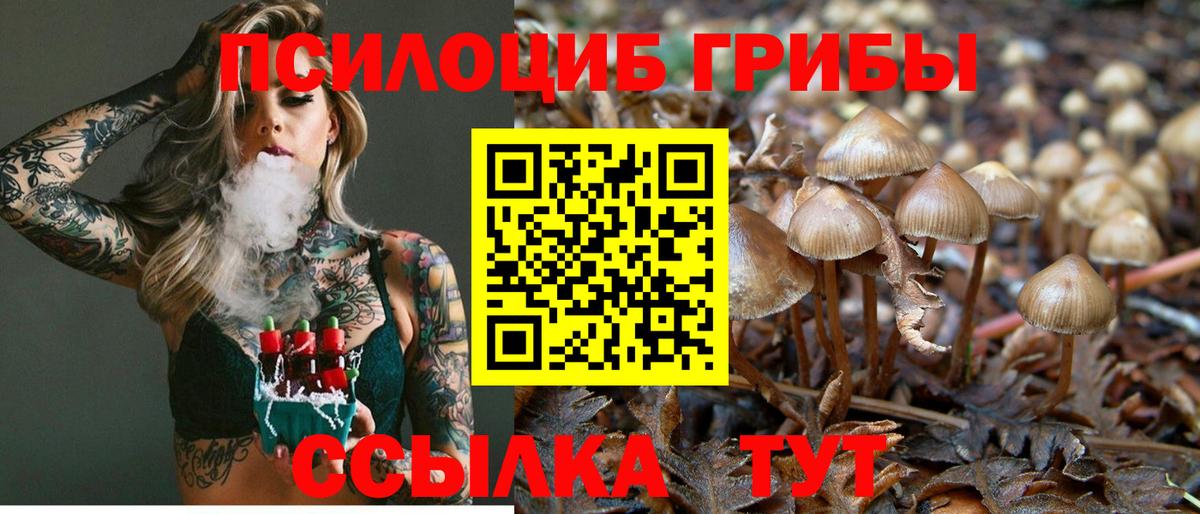 наркотики  Псилоцибиновые грибы Psilocybine cubensis  Вход с VPN  Полысаево  Галлюциногенные грибы ЛСД 